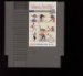 Dance Aerobics For Nintendo NES
