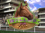 Gallop For Gold Slots