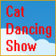 Cat Dancing Show