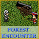 Forest Encounter