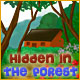 Hidden In The Forest