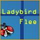 Ladybird Flee