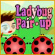 Ladybug Pair-Up