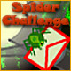 Spider Challenge