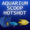 Aquarium Scoop Hotshot