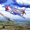 Art Painting - Air Combat 5