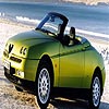 Olive green car puzzle