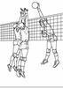 Other Ball Sports -1 - Volleyball