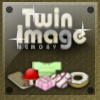 Twin Image Memory